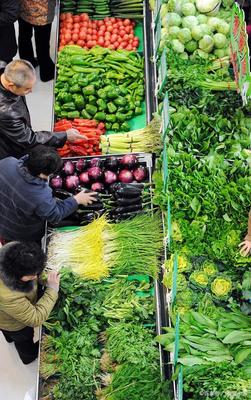 東北黑龍江今日新鮮蔬菜水果零售價(jià)格表