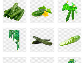 新鮮有機(jī)蔬菜 黃瓜海報(bào)詳情頁(yè)素材及模板一站式下載指南